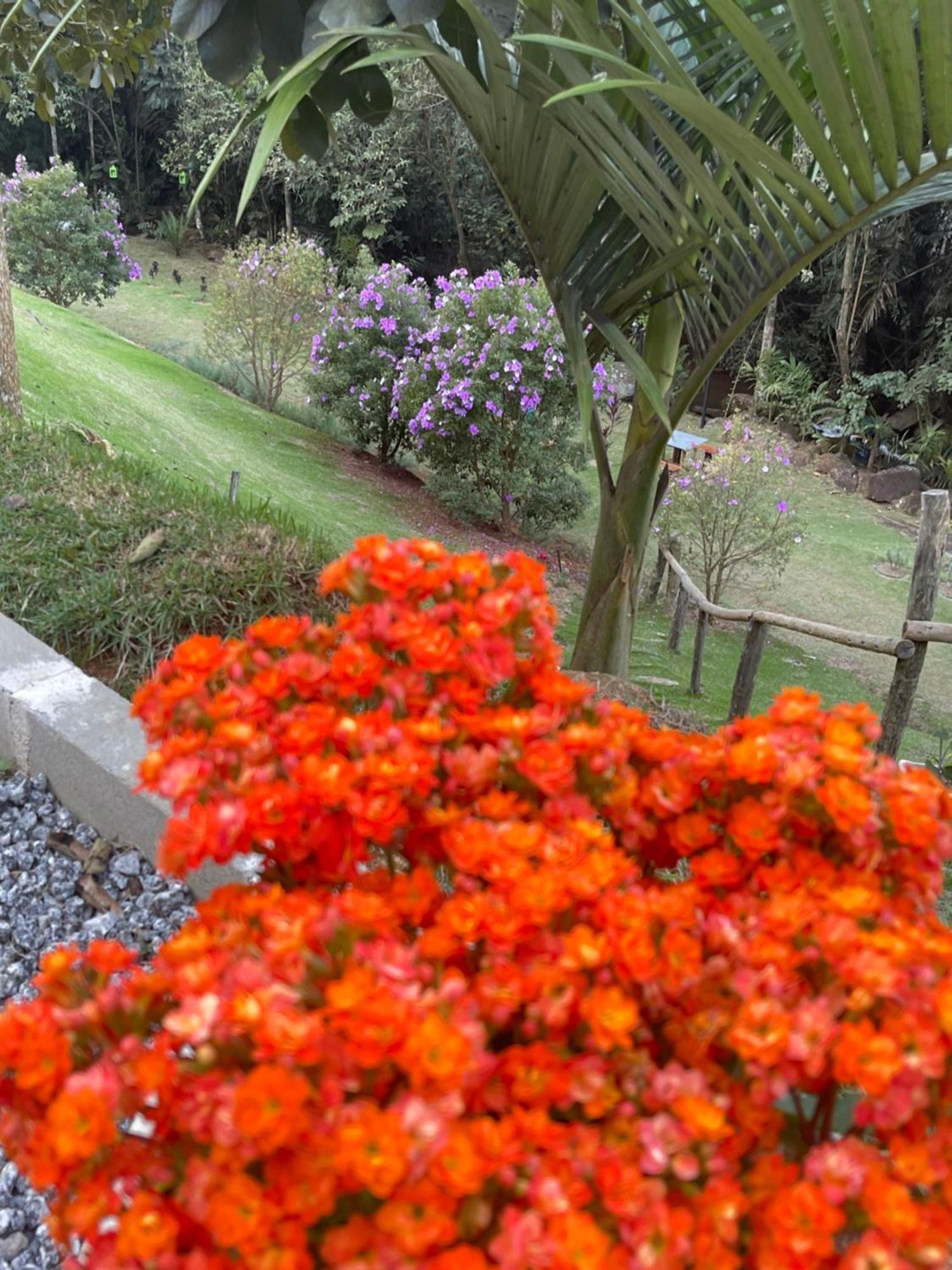 Pousada Sitio Das Pedras Domingos Martins Εξωτερικό φωτογραφία